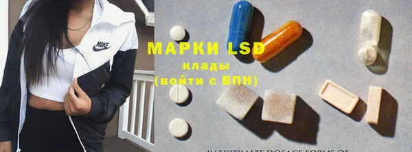 гидропоника Горняк