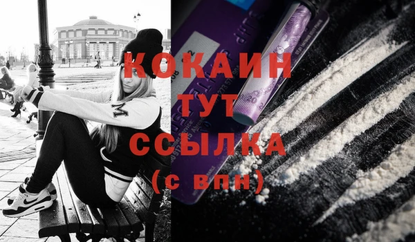гидропоника Горняк