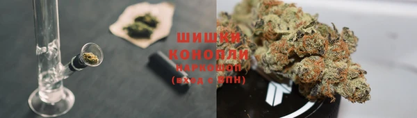 дурь Гусев