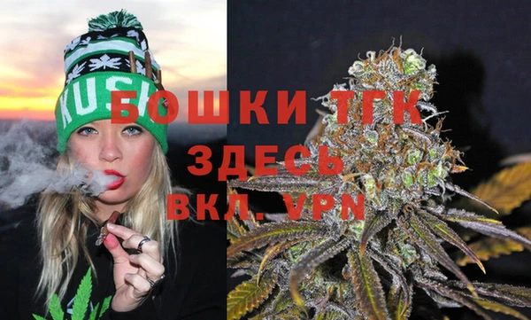 гидропоника Горняк