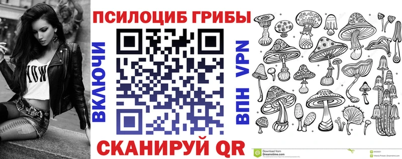 Псилоцибиновые грибы мицелий Кузнецк
